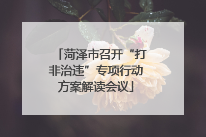 菏泽市召开“打非治违”专项行动方案解读会议