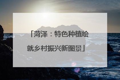 菏泽：特色种植绘就乡村振兴新图景