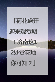 荷花盛开迎来观赏期！济南这12处赏花地你可知？