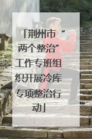 荆州市“两个整治”工作专班组织开展冷库专项整治行动
