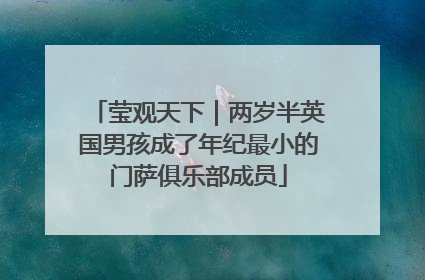 莹观天下｜两岁半英国男孩成了年纪最小的门萨俱乐部成员