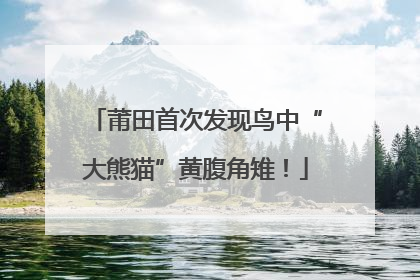 莆田首次发现鸟中“大熊猫”黄腹角雉！