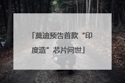 莫迪预告首款“印度造”芯片问世