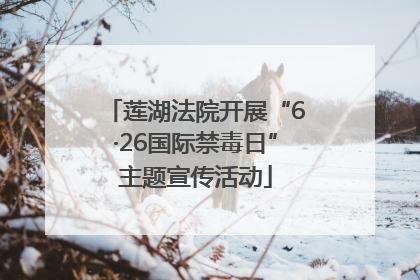 莲湖法院开展“6·26国际禁毒日”主题宣传活动