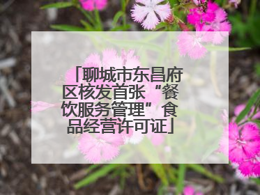 聊城市东昌府区核发首张“餐饮服务管理”食品经营许可证