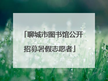 聊城市图书馆公开招募暑假志愿者