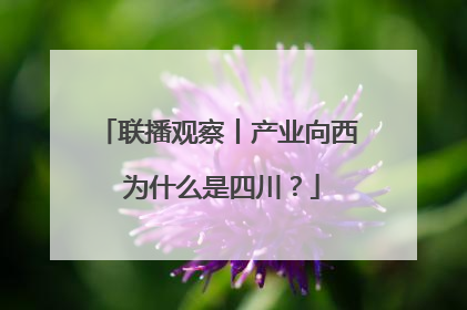 联播观察丨产业向西 为什么是四川？