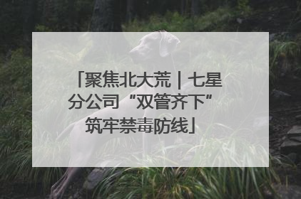 聚焦北大荒｜七星分公司“双管齐下”筑牢禁毒防线