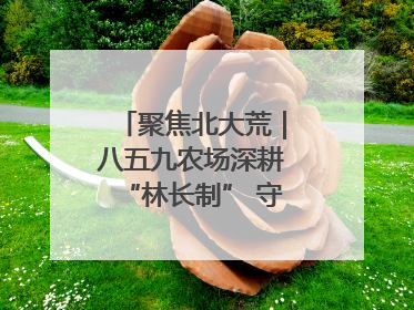 聚焦北大荒｜八五九农场深耕“林长制” 守护“生态绿”