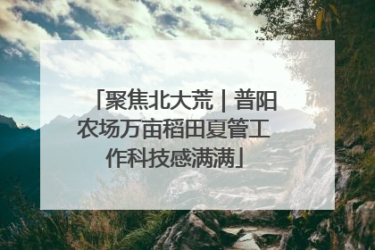聚焦北大荒｜普阳农场万亩稻田夏管工作科技感满满