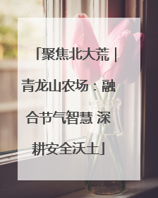 聚焦北大荒｜青龙山农场：融合节气智慧 深耕安全沃土