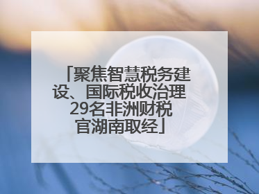 聚焦智慧税务建设、国际税收治理 29名非洲财税官湖南取经