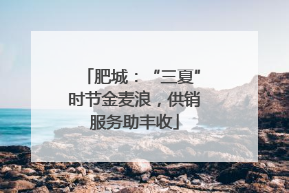 肥城：“三夏”时节金麦浪，供销服务助丰收