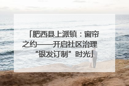 肥西县上派镇：窗帘之约——开启社区治理“银发订制”时光