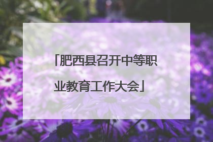 肥西县召开中等职业教育工作大会