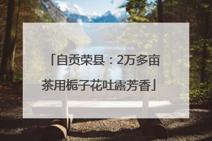 自贡荣县：2万多亩茶用栀子花吐露芳香