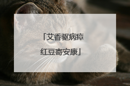 艾香驱病瘴 红豆寄安康