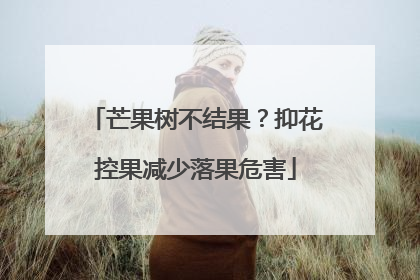 芒果树不结果？抑花控果减少落果危害