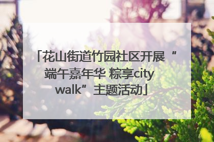 花山街道竹园社区开展“端午嘉年华 粽享city walk”主题活动