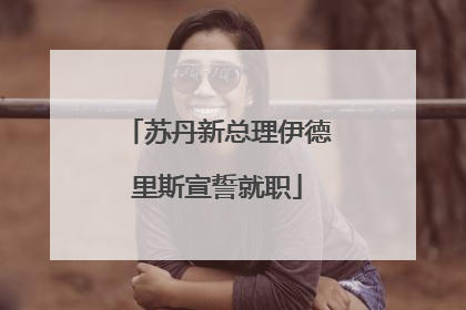 苏丹新总理伊德里斯宣誓就职