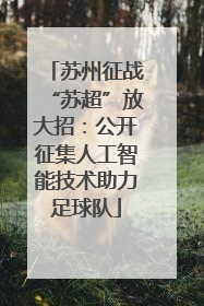 苏州征战“苏超”放大招：公开征集人工智能技术助力足球队
