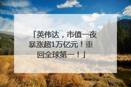 英伟达，市值一夜暴涨超1万亿元！重回全球第一！