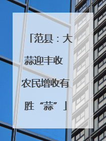 范县：大蒜迎丰收 农民增收有胜“蒜”