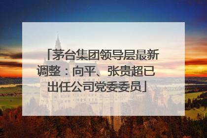 茅台集团领导层最新调整：向平、张贵超已出任公司党委委员