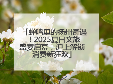 蝉鸣里的扬州奇遇！2025夏日文旅盛宴启幕，沪上解锁消费新狂欢