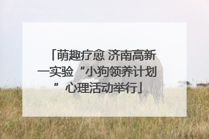 萌趣疗愈 济南高新一实验“小狗领养计划”心理活动举行