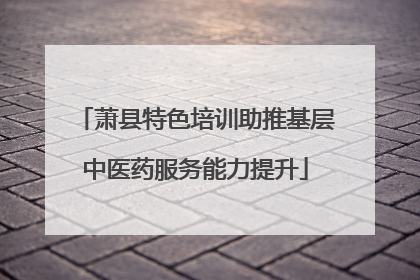 萧县特色培训助推基层中医药服务能力提升