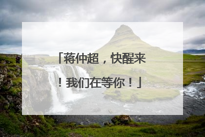 蒋仲超，快醒来！我们在等你！