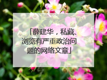 薛建华，私藏、浏览有严重政治问题的网络文章