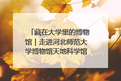 藏在大学里的博物馆｜走进河北师范大学博物馆天地科学馆：在校园里赴一场“宇宙之约”