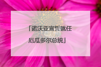 诺沃亚宣誓就任厄瓜多尔总统