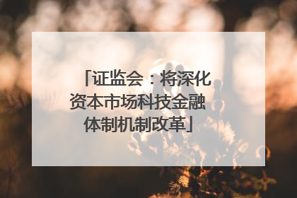 证监会：将深化资本市场科技金融体制机制改革