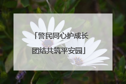 警民同心护成长 团结共筑平安园