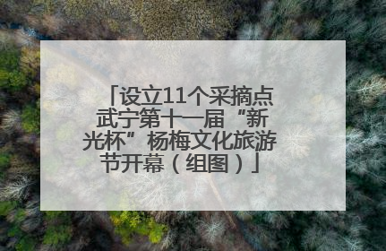 设立11个采摘点 武宁第十一届“新光杯”杨梅文化旅游节开幕（组图）