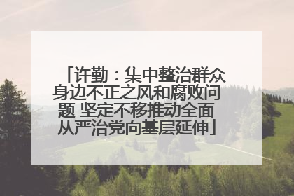 许勤：集中整治群众身边不正之风和腐败问题 坚定不移推动全面从严治党向基层延伸