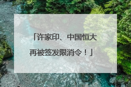 许家印、中国恒大再被签发限消令！