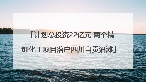 计划总投资22亿元 两个精细化工项目落户四川自贡沿滩