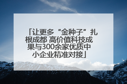 让更多“金种子”扎根成都 高价值科技成果与300余家优质中小企业精准对接