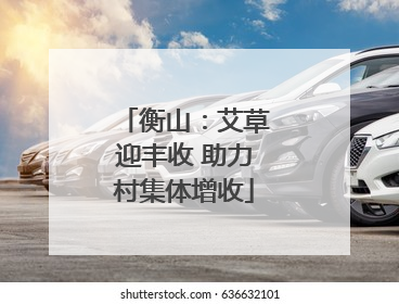 衡山：艾草迎丰收 助力村集体增收