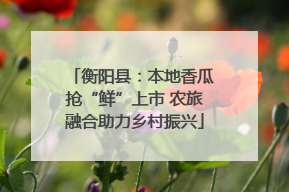 衡阳县：本地香瓜抢“鲜”上市 农旅融合助力乡村振兴