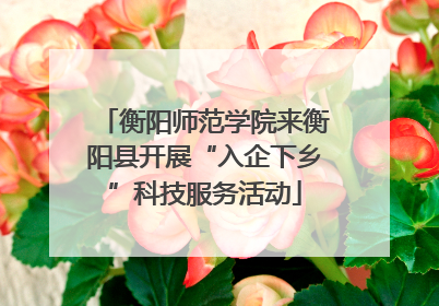 衡阳师范学院来衡阳县开展“入企下乡”科技服务活动