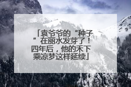 袁爷爷的“种子”在丽水发芽了！四年后，他的禾下乘凉梦这样延续