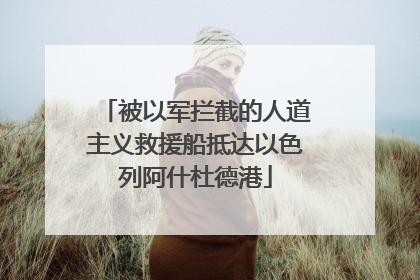 被以军拦截的人道主义救援船抵达以色列阿什杜德港