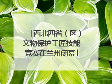 西北四省（区）文物保护工匠技能竞赛在兰州闭幕