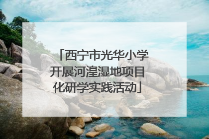 西宁市光华小学开展河湟湿地项目化研学实践活动