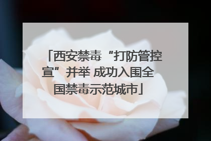 西安禁毒“打防管控宣”并举 成功入围全国禁毒示范城市